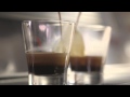 A Guide to the Perfect Espresso: How to Properly Pull a Shot of Espresso