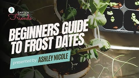 Frost Dates Explained | When to plant in the Garden | Beginner Gardening