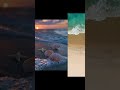 “Tides change, so do feelings.”#shorts#youtube shorts#shorts