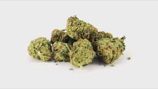 Marijuana decriminalization among new Virginia laws taking effect July 1