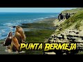 Es la colonia de LOBOS MARINOS mas grande del MUNDO. Punta Bermeja | Rio Negro (VT#10)