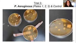 Antimicrobial Properties of Dog Saliva | Wynter Rentas