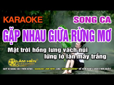 Gặp Nhau Giữa Rừng Mơ Karaoke Nhạc Sống Song Ca Dm I Karaoke Lâm Hiền