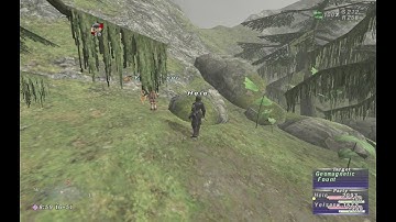 FFXI Returning Players Guide: Unlocking Proto-Waypoints