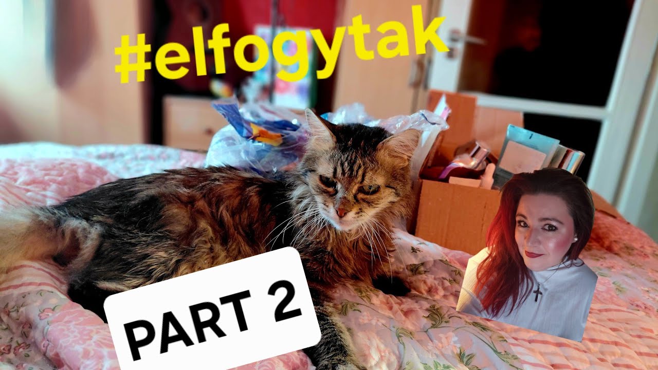 ELFOGYTAK✨️ /KIÉRTÉKELŐ  - PART 2 🥳 - 2026/#02. /  Ajánlom? Bevált? ✨️  #ildikobeauty  #elfogytak