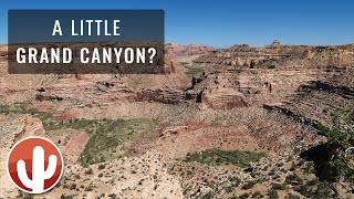 Roadtrip through the San Rafael Swell | The Wedge (Little Grand Canyon) & Buckhorn Wash Pictographs