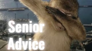 Senior Advice🫰🏾
