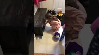 🥚💝🪥 Easter Egg Hunt #holiday #easter #chocolate