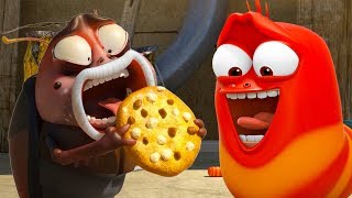 larva the smelly cookie cartoons for children larva official