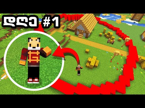Minecraft, მაგრამ მხოლოდ წრეში ვარ