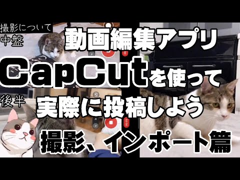 【撮影】【インポート】動画編集アプリCapCutを使って猫動画を投稿する動画#01（30日目）
