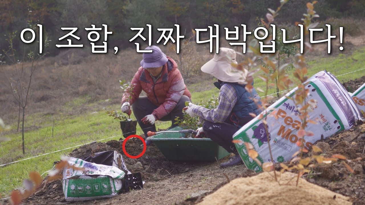 [농사일지37] 자급자족 생태농장을 위해 이걸 심는다구요?