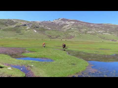 Image du reportage CORSE Objectif Rando ! LAC DE NINO & Refuge Manganu  #montagne #voyage #lacs #trekking #corse (TopoRandos)