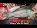 🔴 LIVE #5 Big Fish Cutting 🔪🐟 | Fresh Fish Market Show