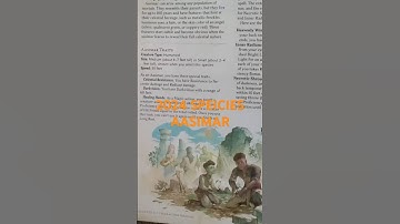 DND Species | Aasimar in 2024 Book