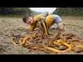 Catch eels underground how to find eels underground  harvest eels go to the village sell