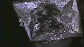 The Fly 2-Tv Spot 1989