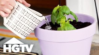 Keep your container garden green and growing (even when you're away!)
with these smart self-watering hacks. find more great content from
hgtv: stream full ep...