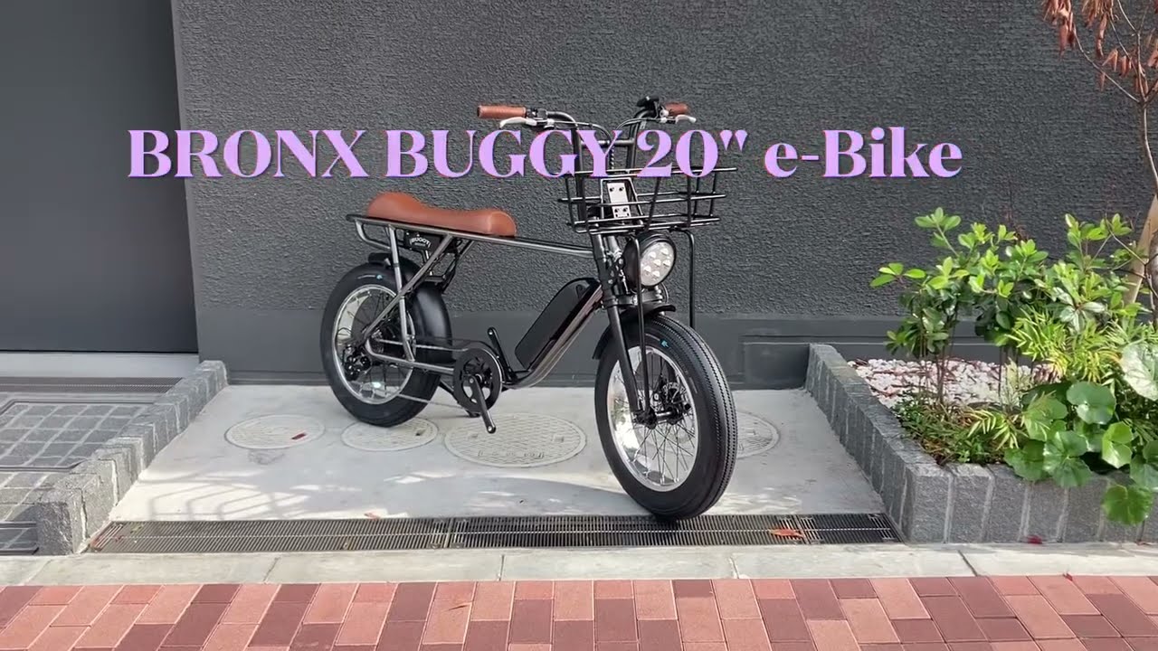 BRONX Buggy 20 e-Bikes / Granite Classic × オリジナルバスケット_