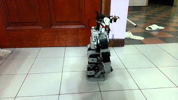 Bioloid with Vision - Walking Backwards