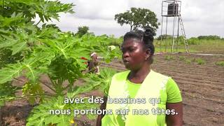 Togo : l'irrigation goutte-à-goutte pour gagner plus - YouTube