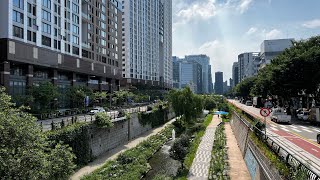One of Seoul’s Best Free Attractions? Cheonggyecheon Stream Tour