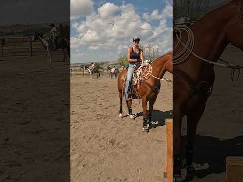 Everyone Loves Learning The Houlihan Register At 310edu Com Ranchlife 