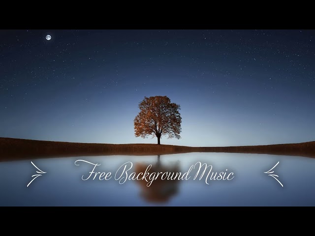 1 Hour Upbeat Background Music Best MBB Music Collection Free Download, No Copyright class=