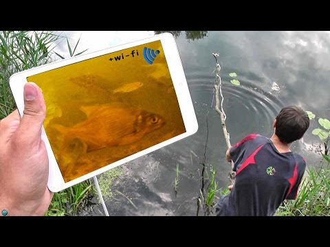 ВИДЕОУДОЧКА СВОИМИ РУКАМИ / РЫБА на ЭКРАНЕ ВИДЕОУДОЧКА СВОИМИ РУКАМИ / РЫБА на ЭКРАНЕ