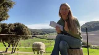 From Elizabeth- Write a script!