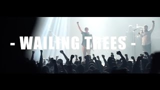 Wailing Trees à Loir'enZic Fest 2017