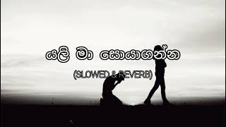 Yali Ma Soya Enna (Slowed & Reverb) යලි මා සොයාගන්න