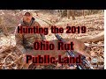 Hunting 2019 Ohio rut Public land