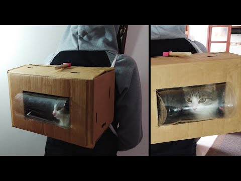 Video: Cómo Coser Un Transportín Para Gatos