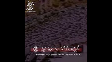 وَالمُؤتَفِكَةَ أَهوى فَغَشّاها ما غَشّى | اواخر سورة النجم | القارئ علي جابر