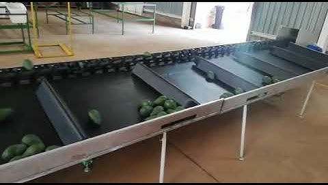 Electronic Fruit Sorting by weight for Avocado & Passion fruit