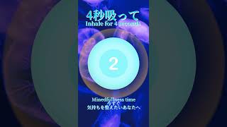 Mindfulness Time 心落ち着く午後のひとときの呼吸瞑想…#リラックス #マインドフルネス #瞑想  #癒し #朝瞑想   #meditation #manifestation