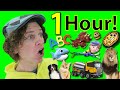 1 Hour of Songs with Matt| Food, Animals, Dinosaurs, Vehicles | Learn English, Preschool