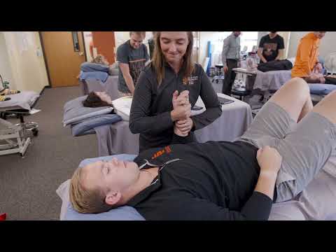 Physical Therapy Program