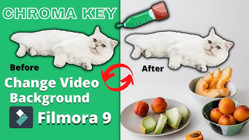 How To Change Video Background In Filmora 9 2022 | Filmora 9 Green Screen Effects | Chroma Key |