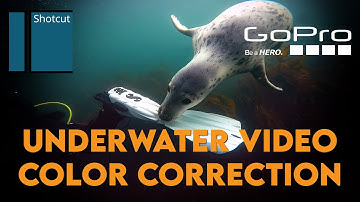 Color Correcting Underwater Video with Shotcut