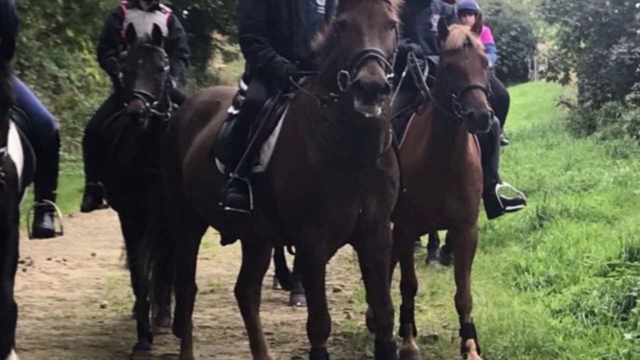 Cross country schooling at Farnley Tyas YouTube