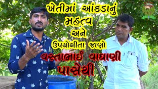 કોઠાસૂઝથી બનાવેલ આકડાનું અર્ક||વસ્તાભાઈ વાઘાણી||આકડાના અર્કની ખેતીમાં ઉપયોગીતા||જય કિશાન||jay kishan