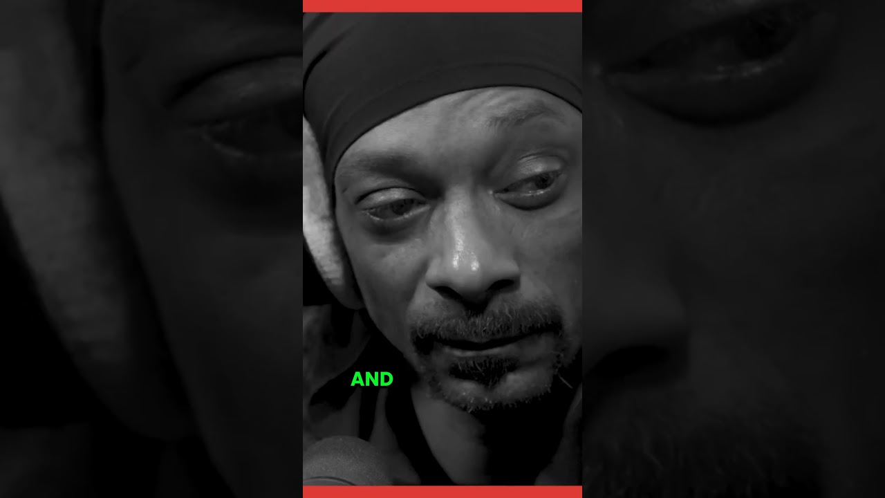 Mystical toad venom - a journey within | 