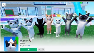 มาเล่นเกมโรเพลแมวกัน#roblox #cat game