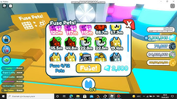 2 reinbow cyber fox + 2 normal Happy computer Fuse what heppend ?