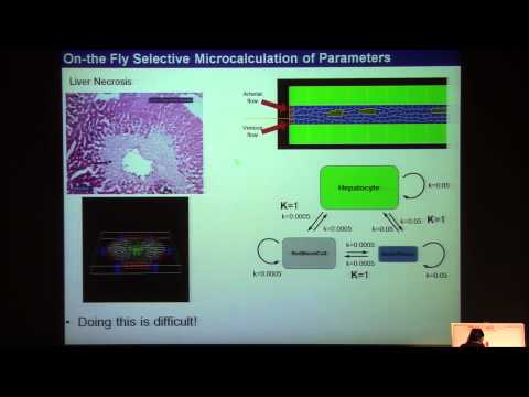 Towards Virtual Tissues- multi-cell modeling using CompuCell3D- Maciej Swat