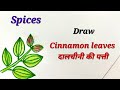 Cinnamon leaves drawing, Spices drawing for EVS , masala drawing, dalchini  leaves#दालचीनी की पत्ती