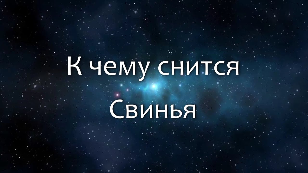 К чему снится Свинья (Сонник, Толкование снов)