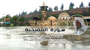 المصحف المرتل | سورة الممتحنة | للشيخ أحمد عادل الرواس